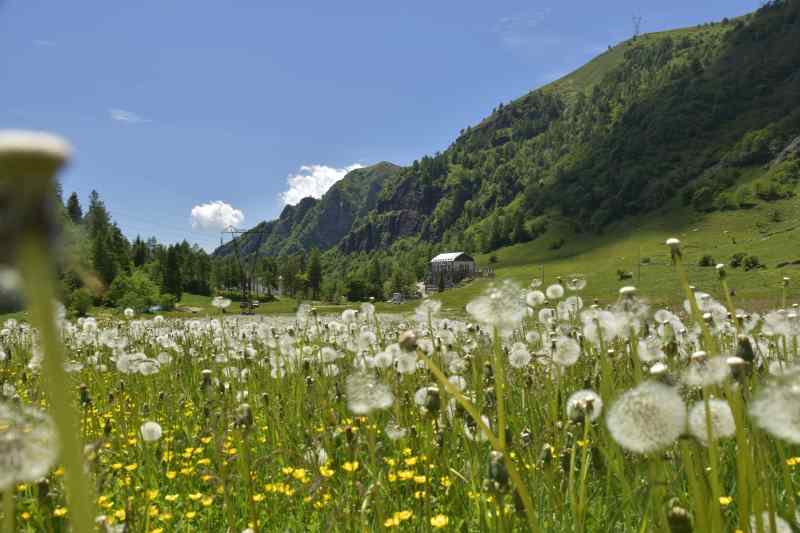Le Meraviglie della Val Biandino