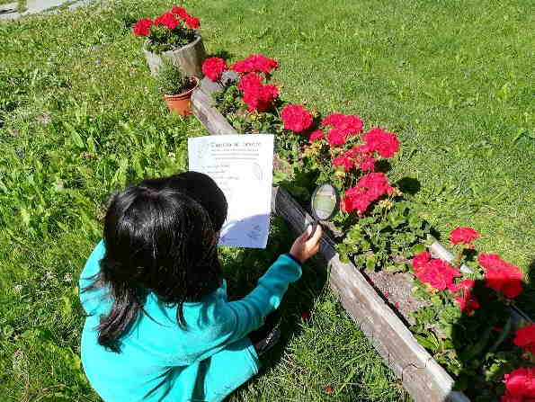 caccia tesoro bambini natura caccia tesoro bambini natura 12