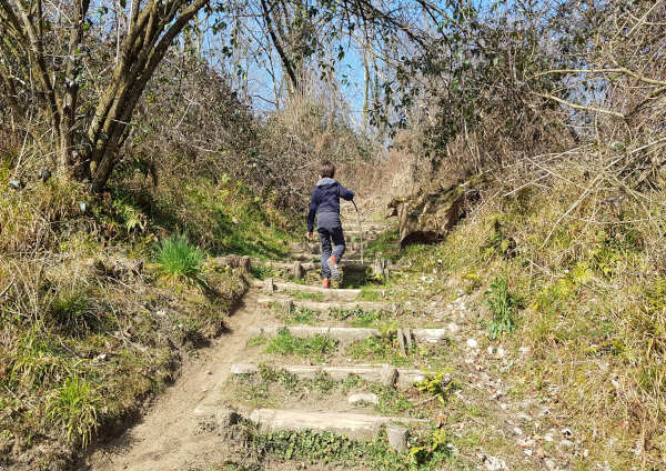 passeggiata naturalistica monte barro 