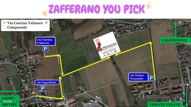 campo zafferano camparada indicazioni campo zafferano camparada indicazioni