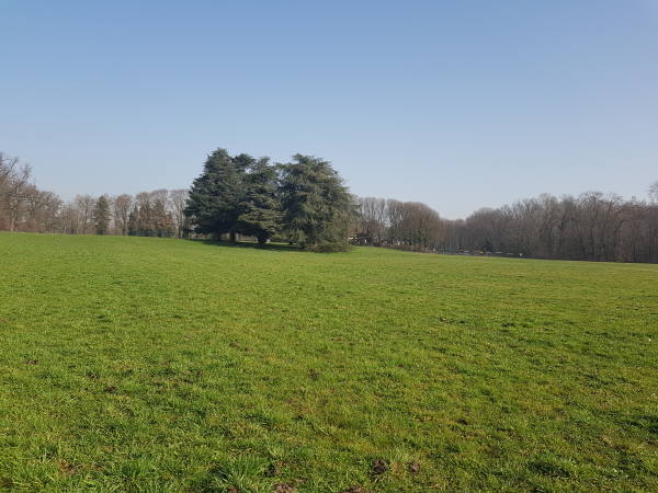 prati nel parco di monza prati nel parco di monza