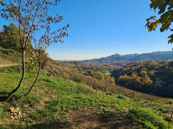 gita con i bambini al parco di montevecchia nel parco curone gita bambini parco montevecchia parco curone