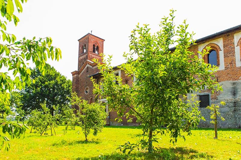 vendemmia opera