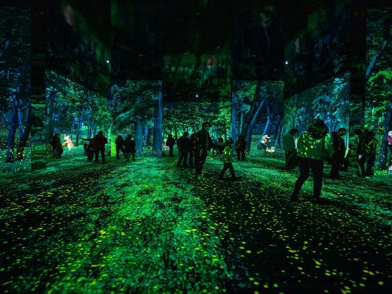 The Spirit of Japan An Immersive Art 3