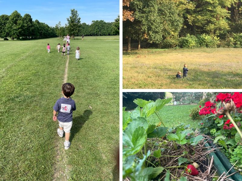 terraluna asilo montessori monza