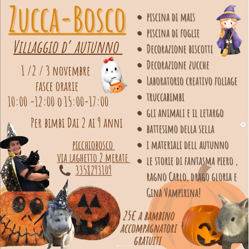 halloween picchiobosco 242