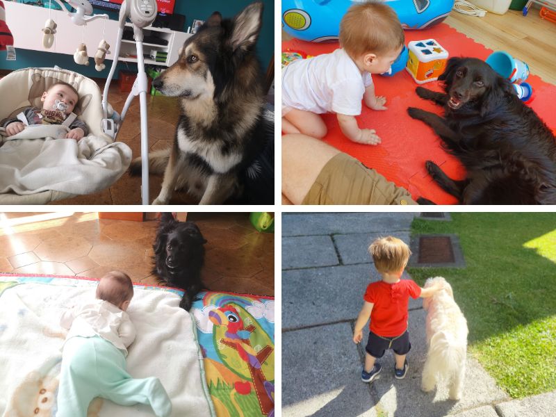 relazione cane bambino famiglia2