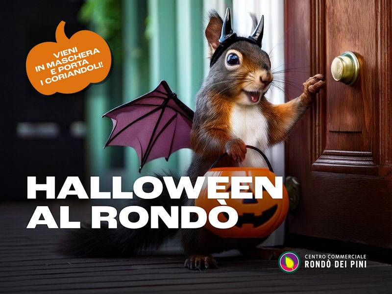 Halloween set2025 2