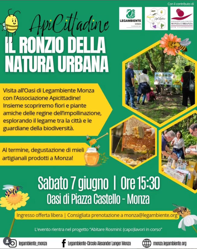 apicittadine monza