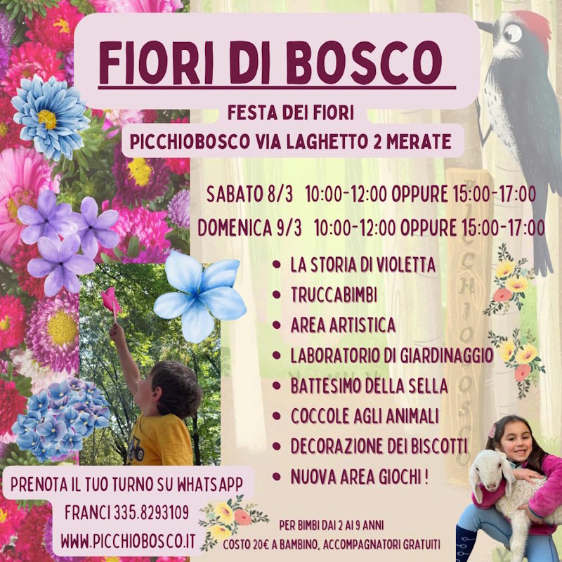 festa fiori merate