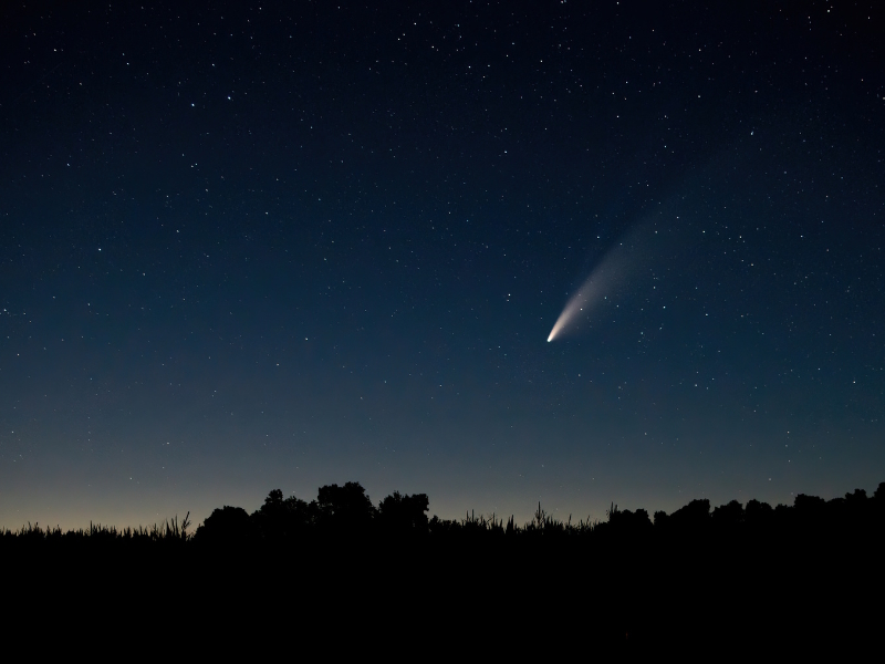 stelle cadenti