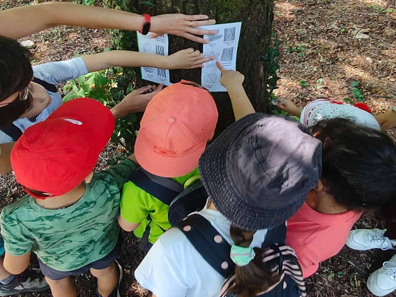 Uscite Didattiche e Gite Scolastiche nel Parco di Monza
