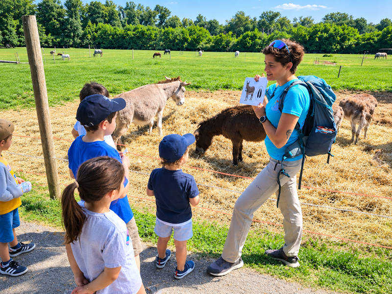 Uscite Didattiche e Gite Scolastiche nel Parco di Monza