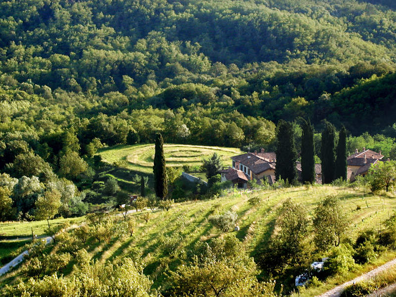 Campus estivi di Galbusera Bianca merate