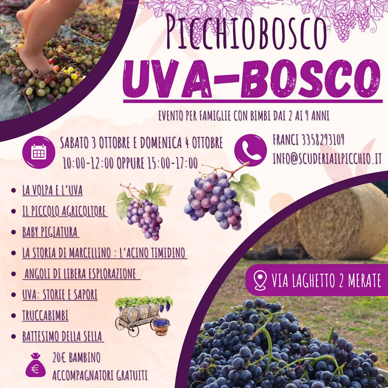 picchiobosco uva26