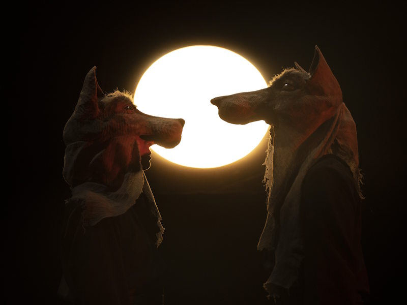 rosaluna e i lupi oreno