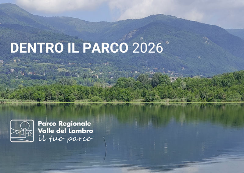 DENTROILPARCO2026