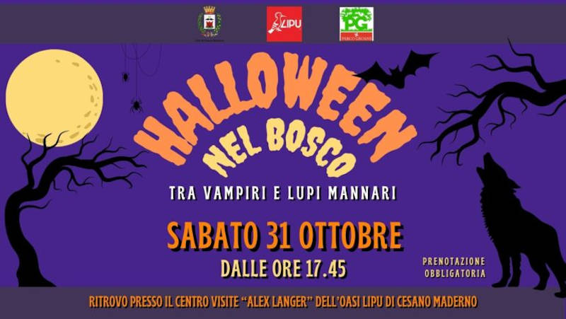 HALLOWEEN NEL BOSCO 2026 lipu
