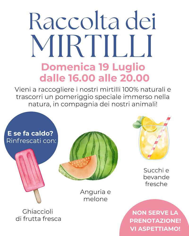 Raccolta dei mirtilli 19 luglio 2026 1