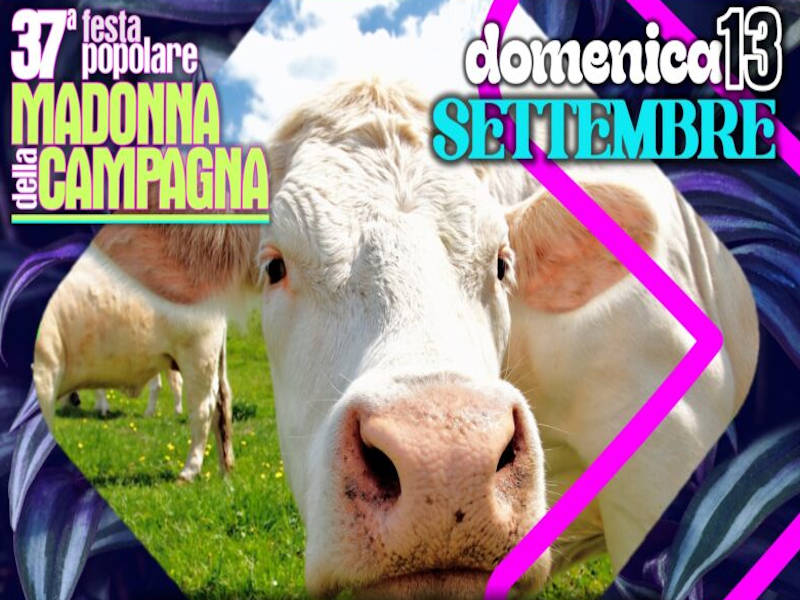 festa madonna seregno26
