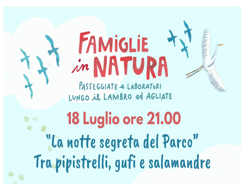 notte Pipistrelli