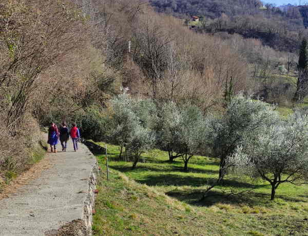 Cascate del Cenghen sentiero2