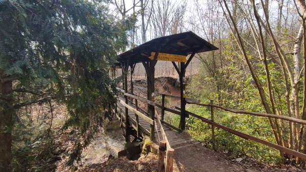 bosco cabiate san francesco