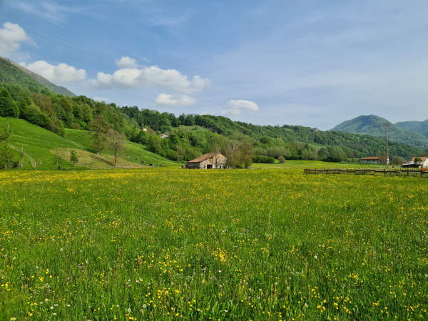 ciclopedonale valsassina paesaggi