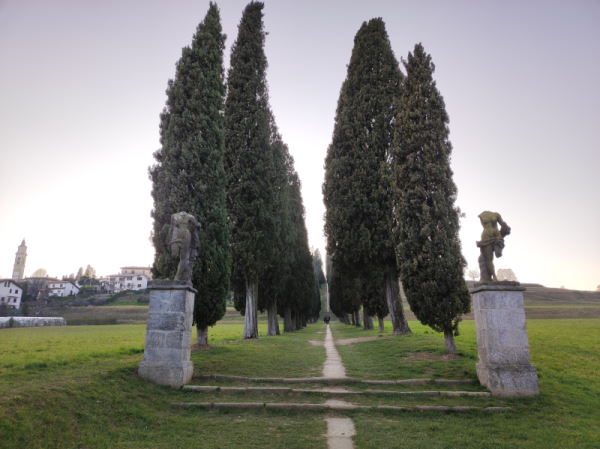 passeggiata brianza inverigo cipressi