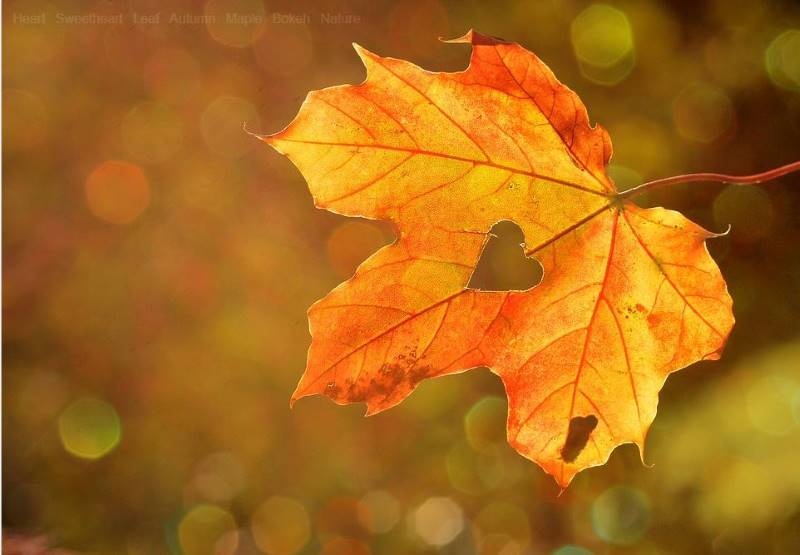 autunno brianza escursioni