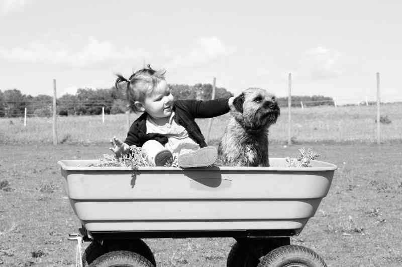 adottare_cane_bambino_famiglia